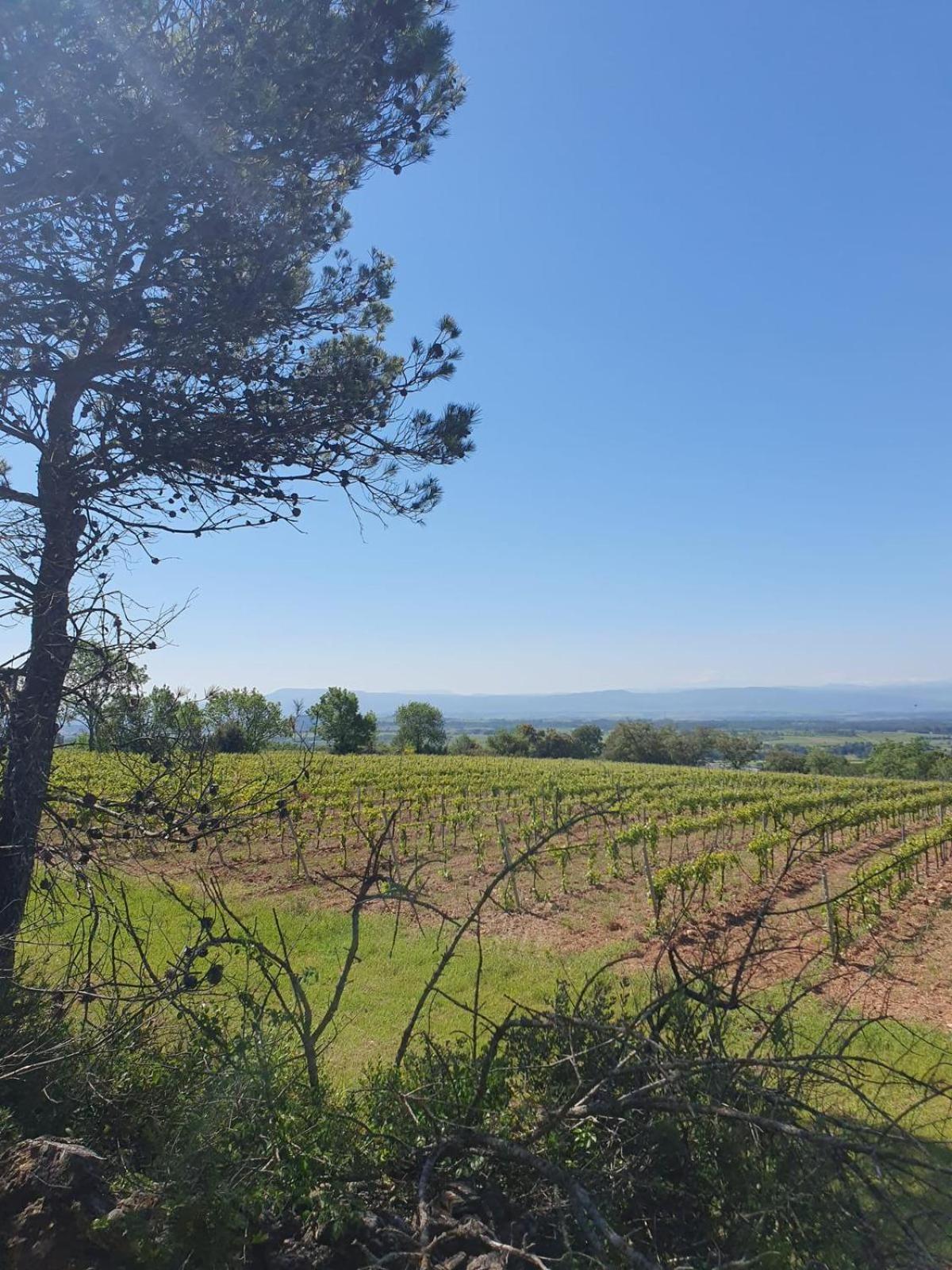 Maison De Charme Caunes-Minervois 外观 照片